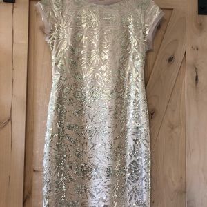 Vince Sparkly Dress